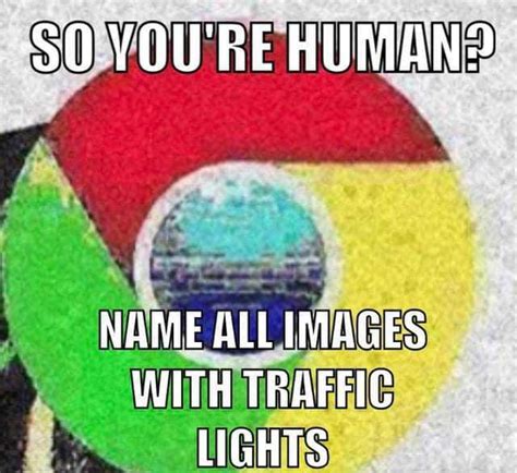 So Youre Human Name All Images With Traffic Lights
