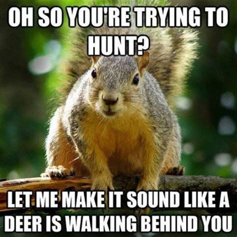 Pin By Katie Whitaker On Huntin Hunting Humor Hunting Memes Deer