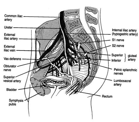 Pelvic Ring Fractures Trauma Orthobullets