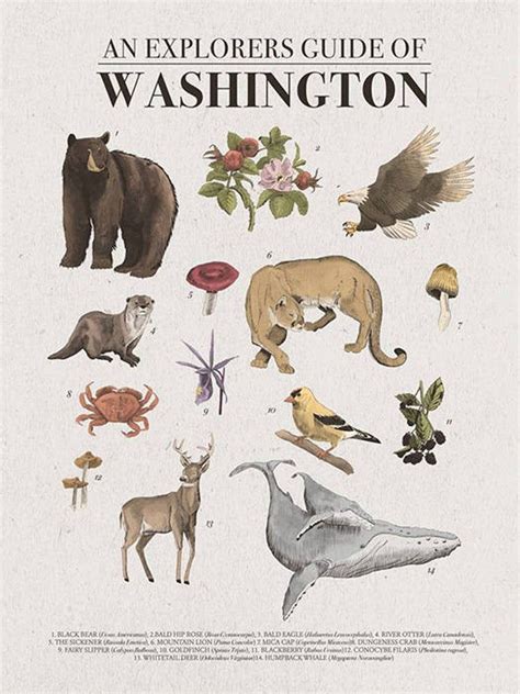 Washington State Poster Pacific Northwest Hiking Wall Art Etsy