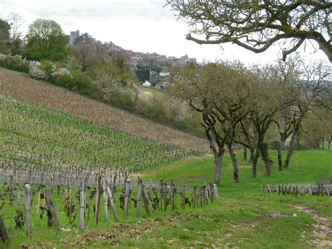 Vines, Valley and Village | winecountrywandering