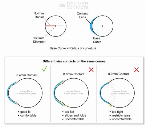Understanding Base Curve Bc For Contact Lens Prescriptions