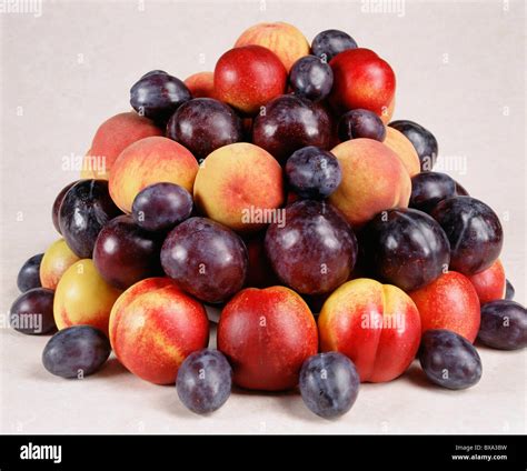 Stone Fruits Peaches Plums Prunes Dried Apricots Prune Plums