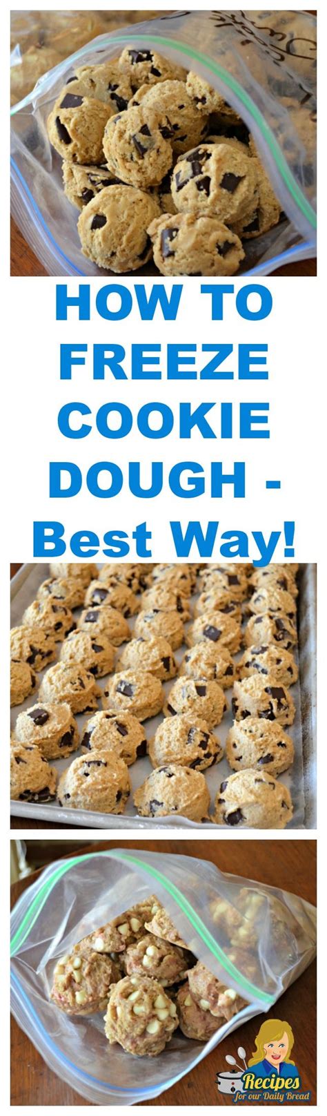 Check out these easy christmas cookie recipes you'll be making all season long. FREEZE COOKIE DOUGH TO HAVE AVAILABLE ANYTIME - Best Way ...
