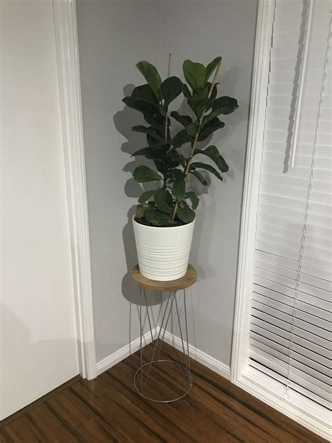 Kmart pot plant stand with Kmart round timber board and ... Check out our pot stand selection for the very best in unique or custom, handmade pieces from our plant stands shops.