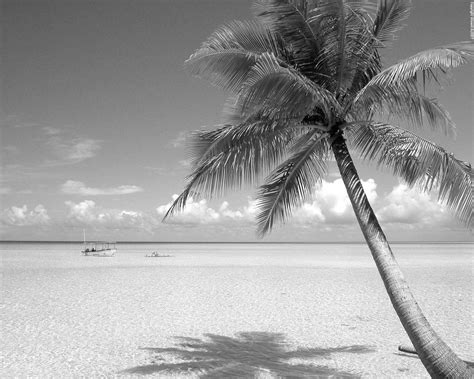 Download Black And White Wallpaper Beach Landscape Hd By
