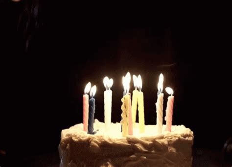 Birthday cupcake with one burning candle blue vector. Blow Candle GIF - Blow Candle Birthday - Descubre & Comparte GIFs