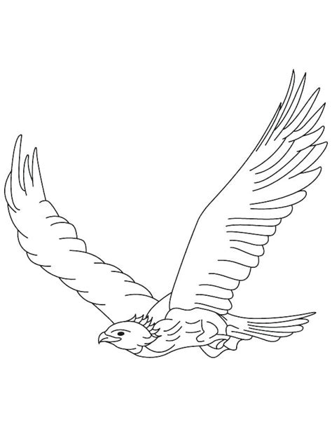 Falcon Coloring Pages Best Coloring Pages For Kids
