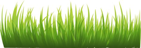 Grass Images Pictures Clipart Clipartpost