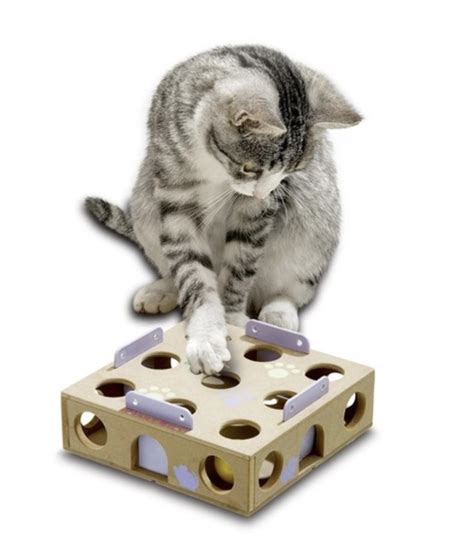 7 Best Cat Food Puzzles