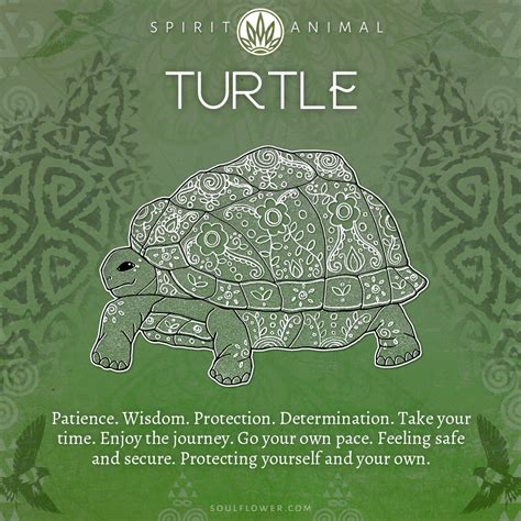 Turtle Symbolism Turtle Spirit Animal Soul Flower Blog