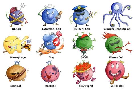 which one is your favorite immunology cartoon project
