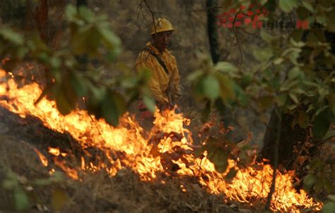 El cielo, las nubes, los. Contingencia ambiental alcanza al Valle de Toluca: Probosque