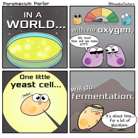 Fermentation Hero Biology Humor Biology Jokes Fun Science