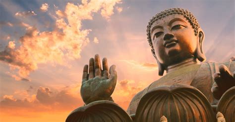 8 Reglas De La Vida Según El Budismo Bioguia