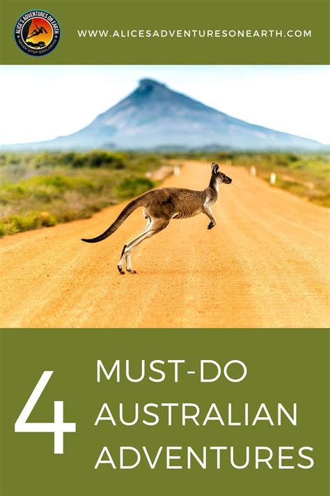 4 Australian Adventures You Must Try In 2021 Adventure Adventure