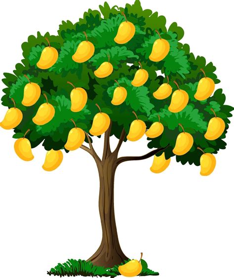 Lista 9 Imagen Como Se Llama El Arbol De Mango Alta Definición Completa
