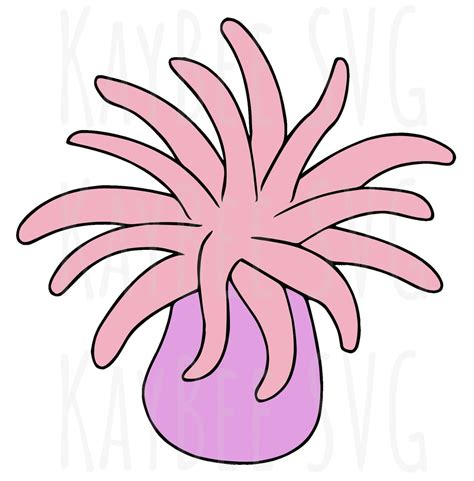 Sea Anemone Svg Png  Clipart Digital Cut File Download For Etsy