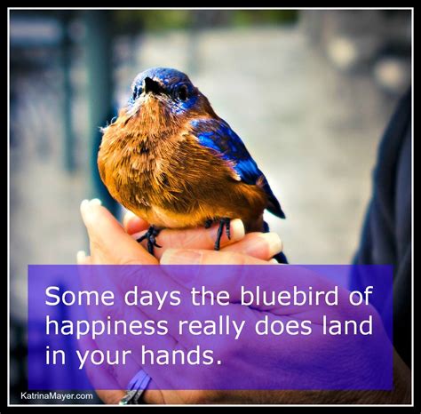 that s a real bluebird and that is my hand cool words blue bird positive quotes for life