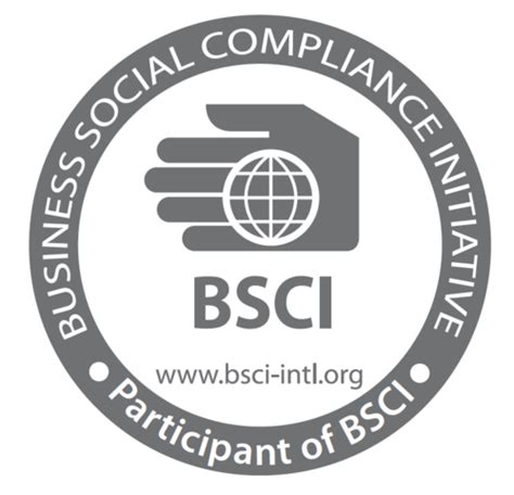 Bsci Audit The Ultimate Faq Guide Bansar China