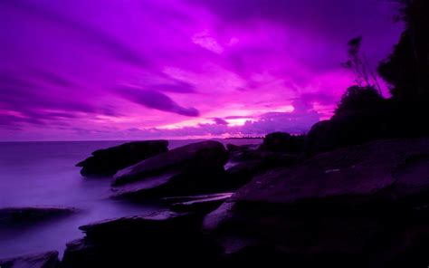 Purple Ocean Sunset 紫
