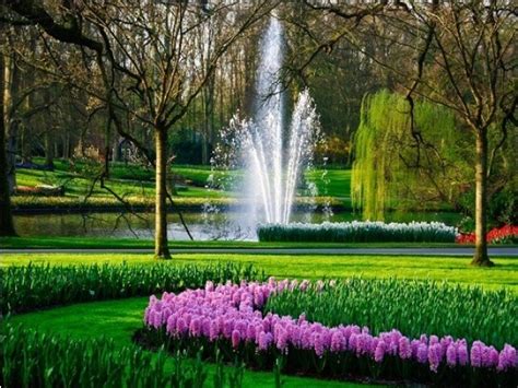 Omusisa 50 Most Beautiful Gardens In The World