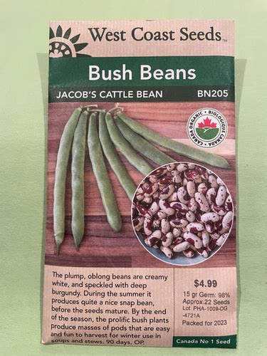 Bean Jacobs Cattle West Coast Seed Carletonplacenursery