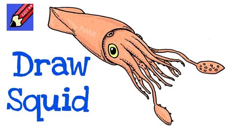 How To Draw A Squid Real Easy Youtube