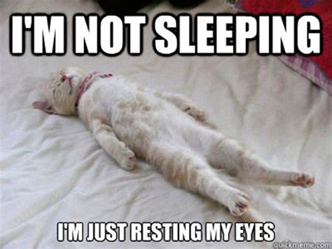 45 Funny Sleep Memes Because It S Way Past Bedtime