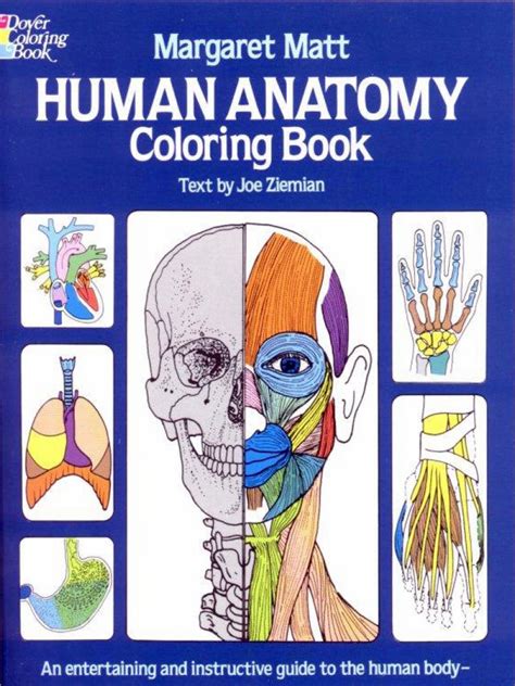 Human Anatomy - Coloring Book.pdf