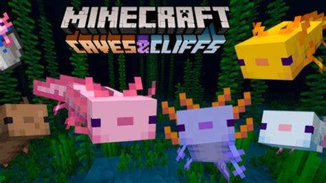 Blue Axolotl Minecraft Drawing In Our Detailed Guide Minecrafts