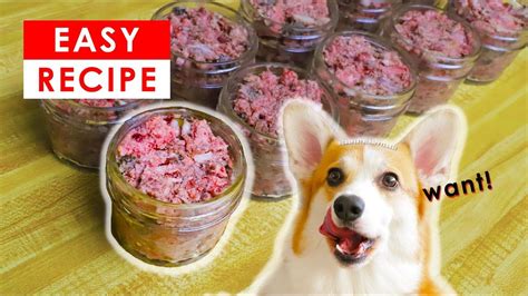 We have a lot of healthy raw dog food recipes and even healthy human foods out there that you can feed your dog with. BEST HOMEMADE DOG RAW FOOD RECIPE - MADE EASY!!! - YouTube ...