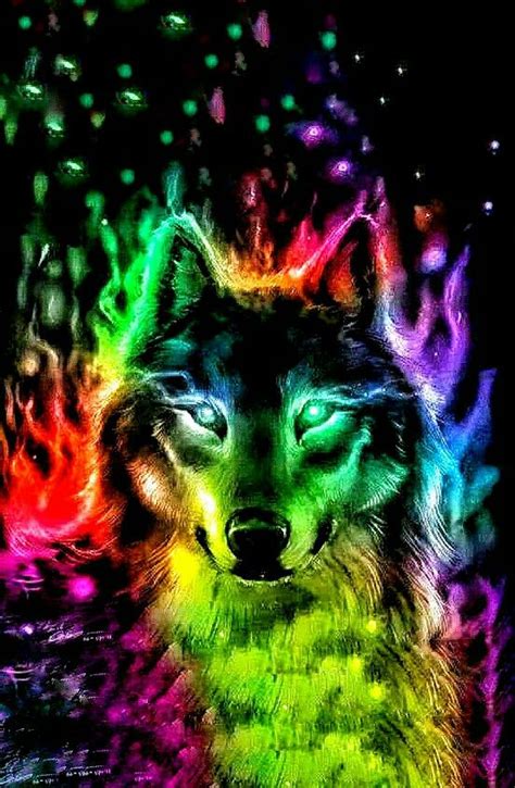 Pin By Sharon Zimmerman On Bright Rainbow Colors Wolf Wolf Pictures