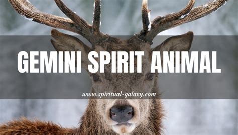 Gemini Spirit Animal The Deer And Your Similarities Spiritual
