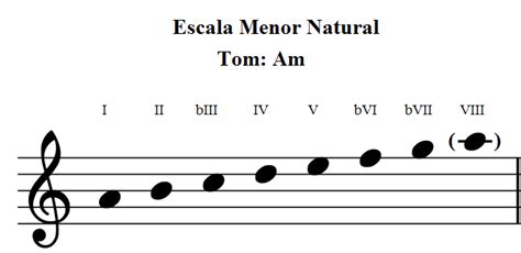 Campo Harmônico Menor Guia Completo Opus 3 Ensino Musical