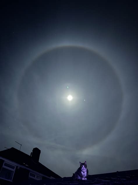Delight As Residents Capture ‘halo Around Moon In Unbelievable Moment