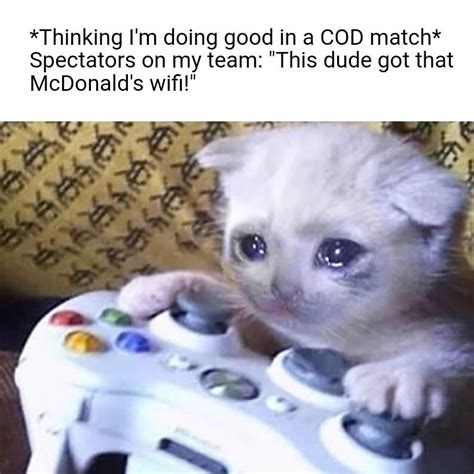 The Joys Of Having Xfinity Sad Gaming Cat Cat On Xbox Know Your Meme