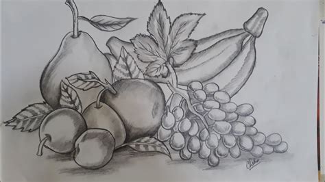 Easy Pencil Shading Fruit Composition For Beginners Youtube