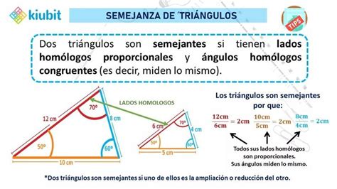 Semejanza de triángulos Triangulos Evaluaciones para preescolar Definiciones