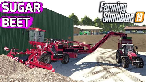 Farming Simulator 19 Sugar Beets Collection 2 Youtube
