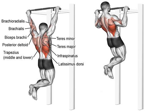 Chin ups vs Pull ups - hvad er forskellen?