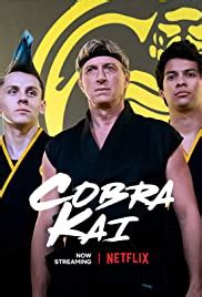 This reignites his old rivalry with the successful daniel larusso, who has been. Cobra Kai Discussion | MovieChat