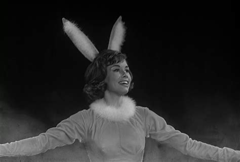 Washington Vs The Bunny Laura Petrie Petrie