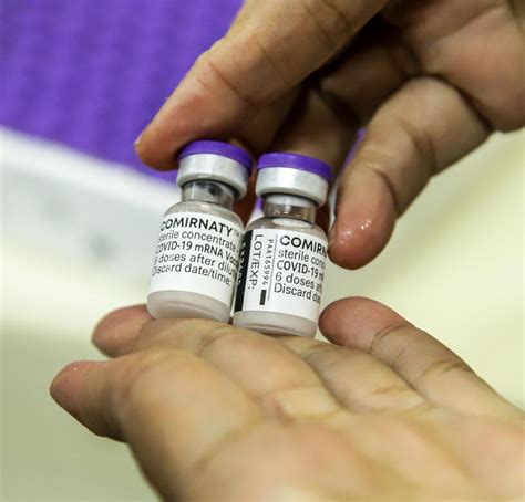 Piauí Recebeu Mais 163 Mil Doses De Vacinas Da Pfizer Na Terça 11