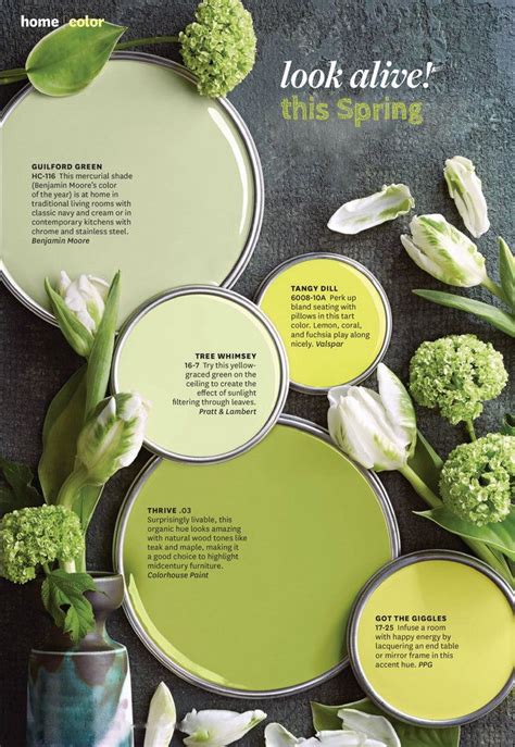 Creamy Paint Colors That Look Good With Green The Expert