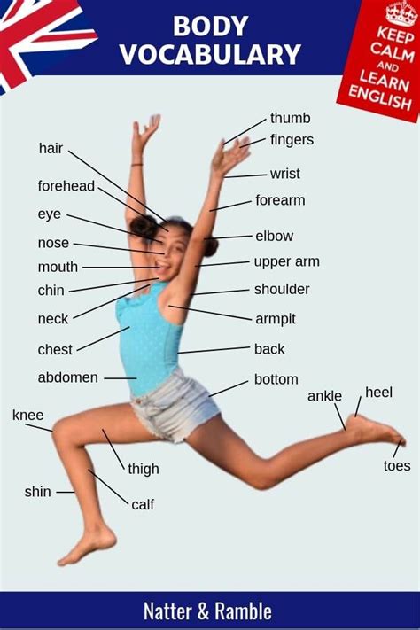 Body Vocabulary English Vocabulary Human Body Vocabulary Vocabulary