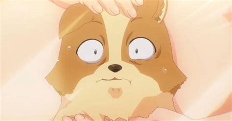 My Life As Inukai Sans Dog Anime Reveals Uncensored Nsfw Trailer