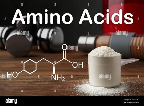 Amino Acids Protein Illustration Hi Res Stock Photography And Images