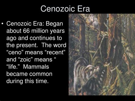 Explain how life evolved during the paleozoic era. PPT - GEOLOGIC TIME SCALE PowerPoint Presentation - ID:3751919