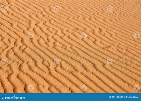 Desert Sand Close Up Stock Image Image Of Texture Curved 251106529